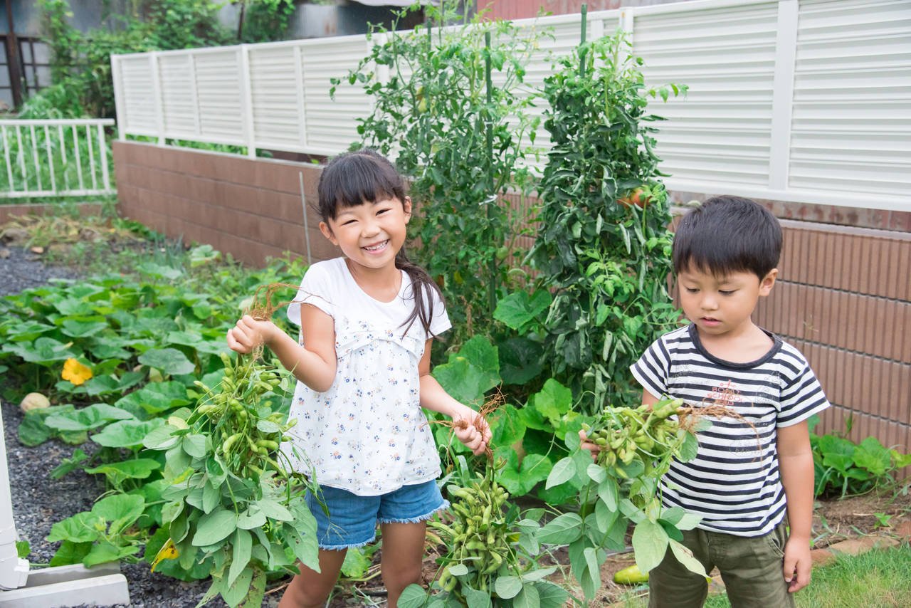 野菜の収穫で嬉しそうな子供達